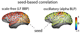 Pictures of resting fMRI scans from brains