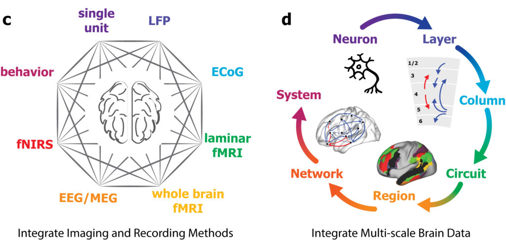 Integrate Imaging and Recording Methods and Integrate Multi-scale Brain Data